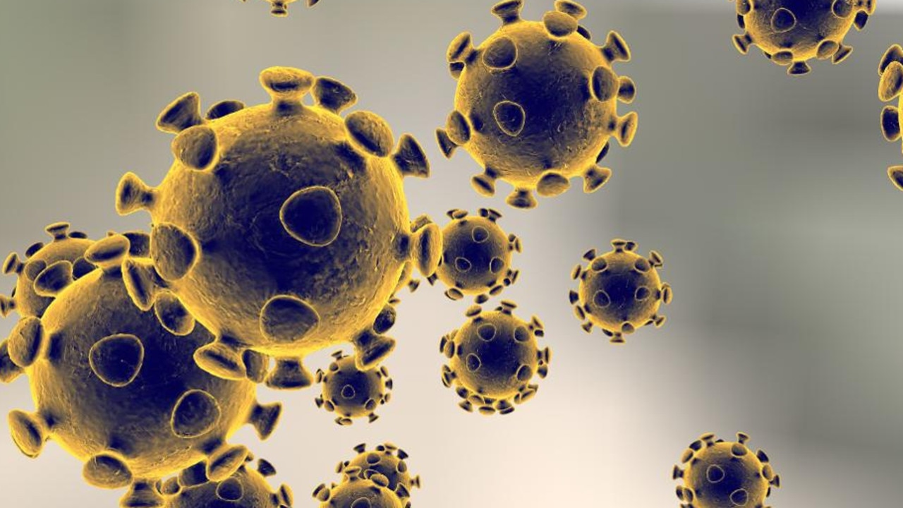 Coronavirus: New data reveals no country safe from outbreak | news.com ...