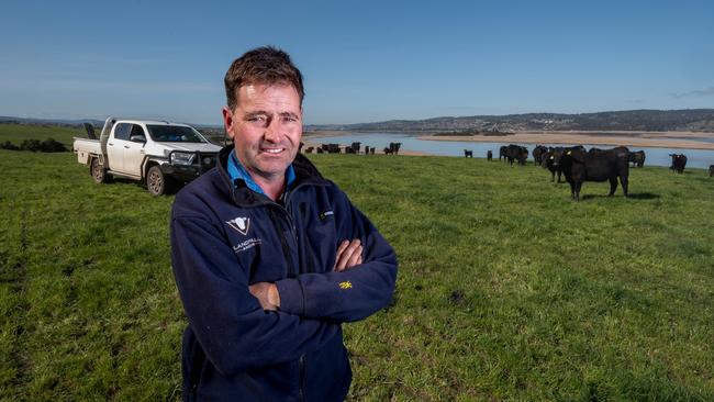 Frank Archer’s Landfall property at Dilston, near Launceston, Tasmania. Picture: Phillip Biggs