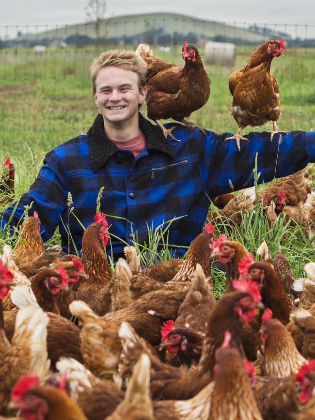 Josh Murray with his free range hens. Picture: Zoe Phillips