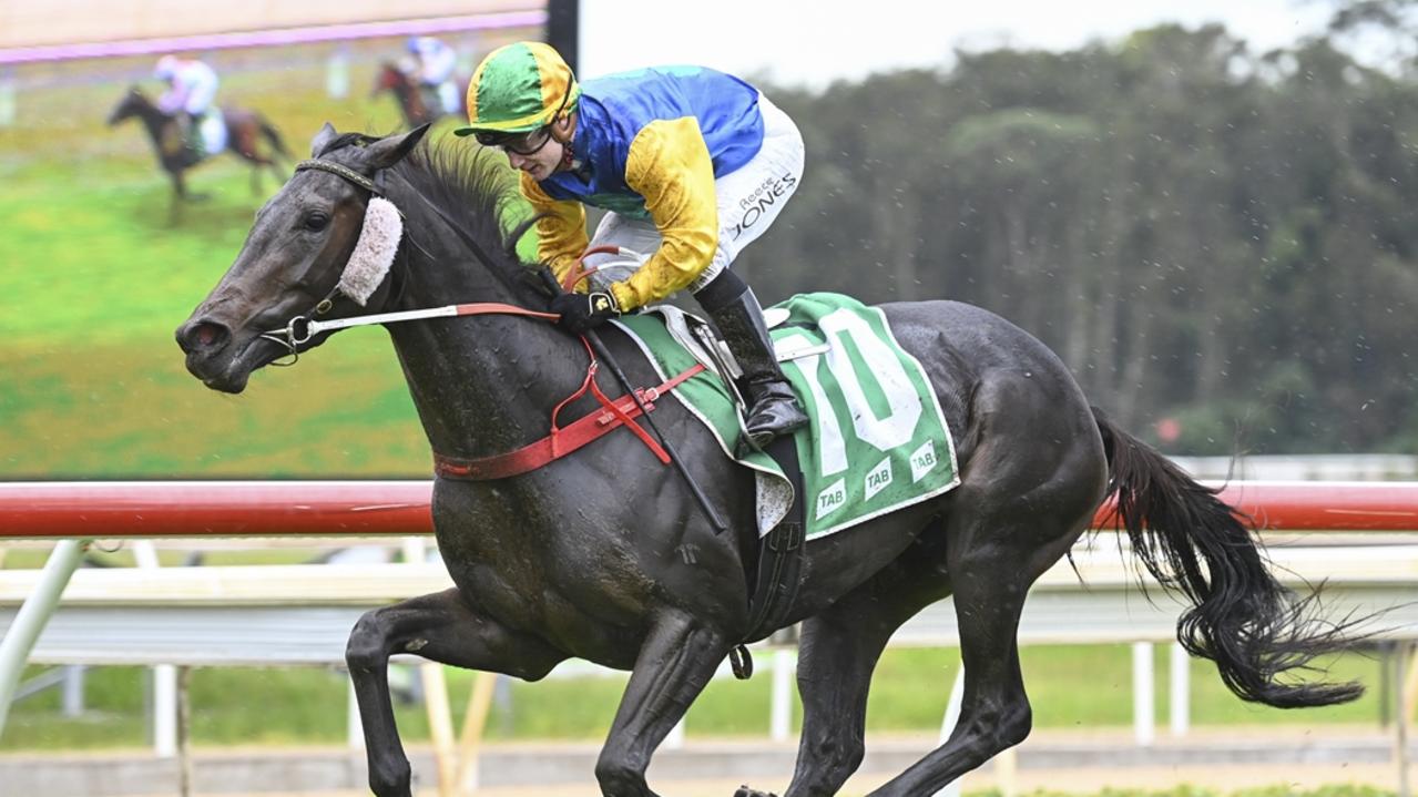 Love Rules can break through for a second career win at Coonamble. Picture: Bradley Photos