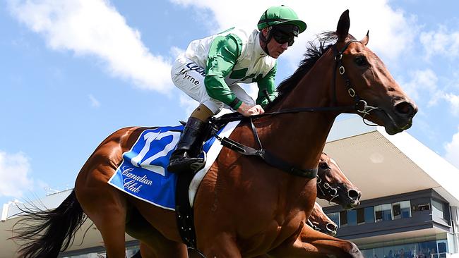 Outback Barbie is good value in the Percy Sykes, according to Duff. Picture: AAP