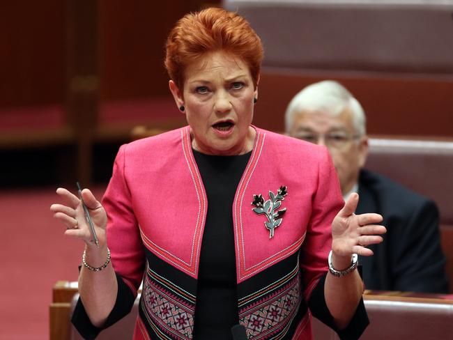 Pauline Hanson has a busy agenda in the senate as well as her party’s expansion across states. Picture: Gary Ramage
