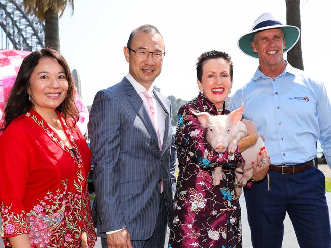 Dawes Point, Sydney - 29th January 2019. Sydney Lunar Festival Media Call. Group photograph with Lord Mayor Clover Moore, Councillor Robert Kok, Surf Life Saving NSW CEO Steven Pearce and Sydney Lunar Festival Curator Valerie Khoo.