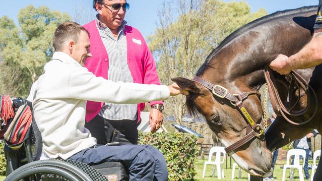 Trapeze Artist lowers his head to say hello to his former jockey and friend Tye Angland at the Widden Stud Stallion Parade. Angland rode the stallion to some of his greatest victories Trapeze Artist recognised him instantly. Picture: Sharon Lee Chapman