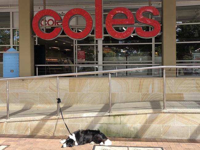 The Coles supermarket on Barrenjoey, Rd, Newport, pictured on Friday, will be “refreshed” into a Coles Local outlet that will offer supermarket essentials as well as a “thoughtfully curated selection of local and artisan products”. Picture: Jim O’Rourke