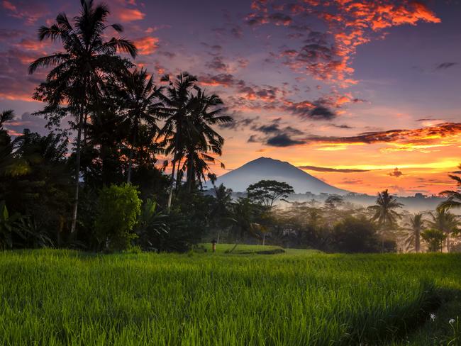 Morning scenery at paddy rice-field with Agung mountain as background, Ubud, Gianyar , Bali, indonesiaEscape 1 October 2023Why I travelPhoto - iStock