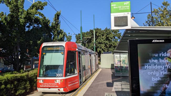 Whitehorse Council wants more services on the Route 109 tram from Box Hill to help commuters during level crossing removal works. Picture: Kiel Egging.