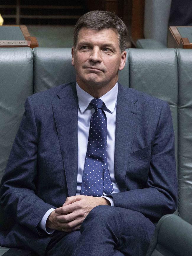 Opposition treasury spokesman Angus Taylor