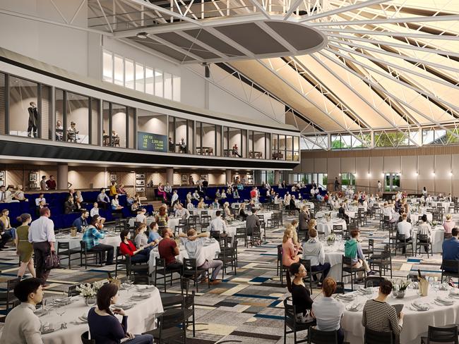 An artist’s impression of the sales arena at the Inglis family’s new Riverside Stables.