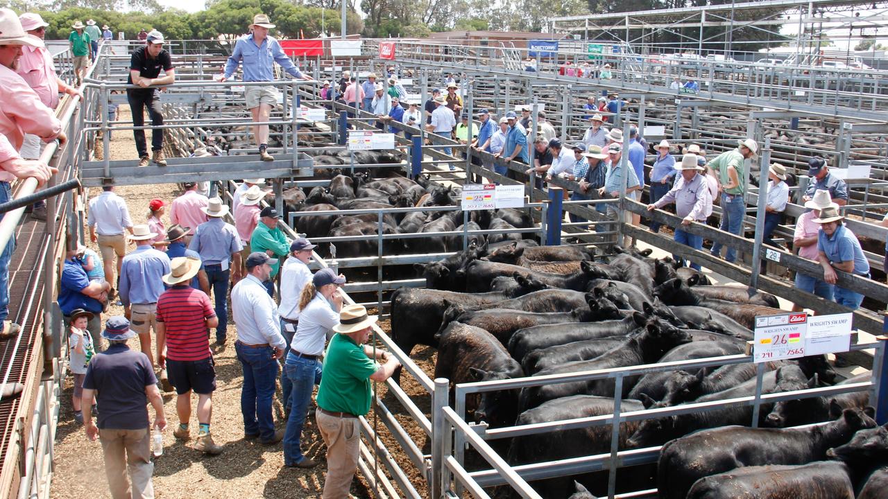 Beef market should deliver on price | The Weekly Times