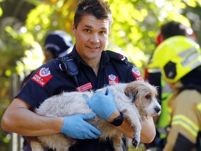 SATURDAY TELEGRAPH - 23.4.21Fire in home on Walker ST in Waterloo this morning. A NSW Fire and Rescue worker holds a dog from the house before sending it to the vet to be checked over. Picture: Sam Ruttyn