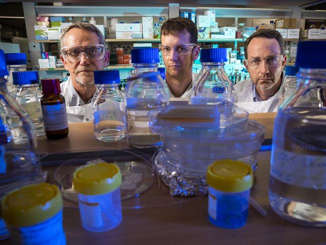 12th March 2020.Inventors of molecular clamp vaccine for coronavirus: L-R, Professor Paul Young, Dr Keith Chappell and Professor Trent Munro in a lab at The University of Queensland.Photo: Glenn Hunt / The Australian