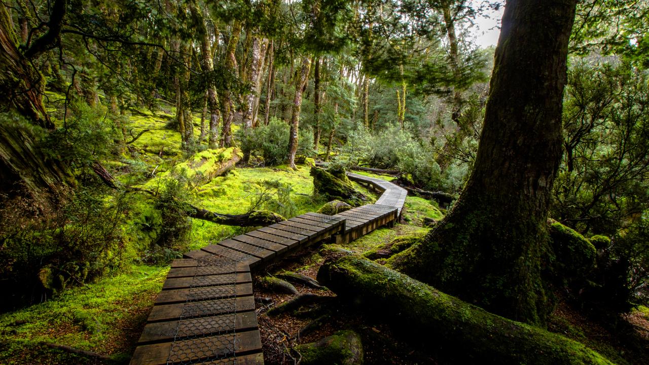 The path to Kynvet Falls in Tasmania's North. Picture: iStock.