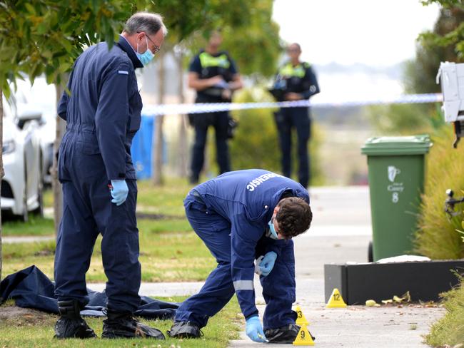 About 20 people were involved in the wild brawl. Picture: Andrew Henshaw