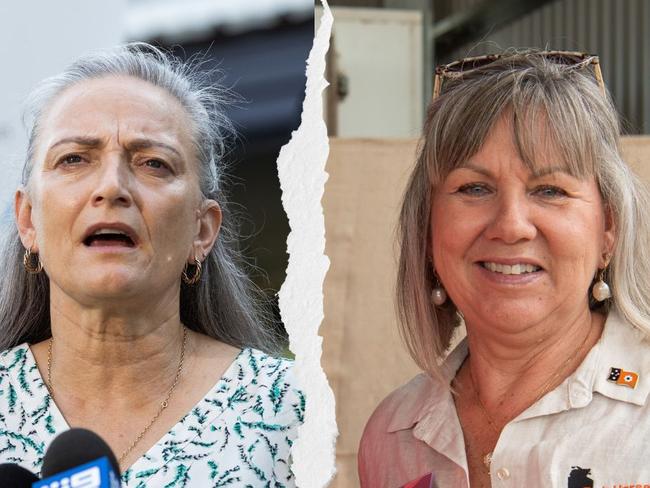 Labor NT Environment, Climate Change and Water Security Minister Kate Worden and CLP opposition Environment spokeswoman Jo Hersey.