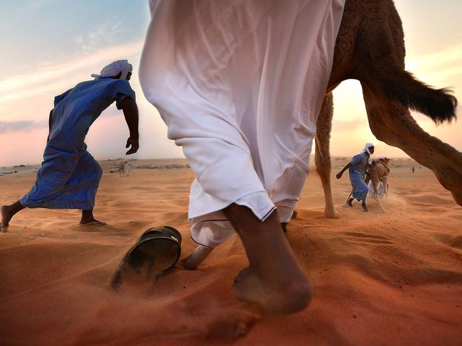 Image Name: Challenge. Image Description: The photo was taken during the Al Dhafra Camel and Heritage Festival in the western region of Abu Dhabi, the annual occasion to celebrate the rich culture and tradition of the region. Copyright: Don Ferdinand Tabbun, Philippines, Shortlist, Open Culture and Winner, UAE National Award. Picture: Sony World Photography Awards/ Don Ferdinand