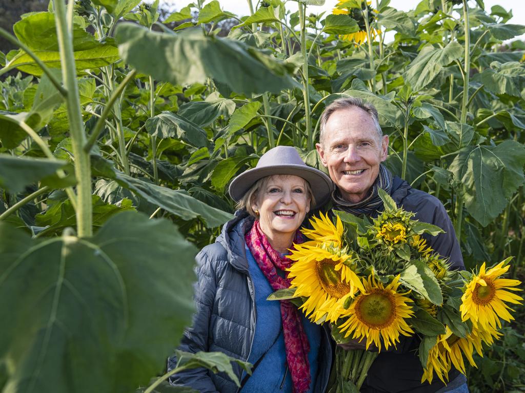 Linda and Neil Brewer at the picnic with the sunflowers event hosted by Ten Chain Farm, Saturday, June 8, 2024. Picture: Kevin Farmer