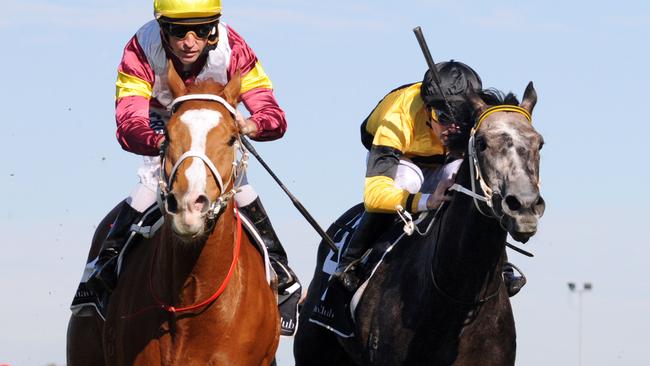 Ray and Duff agree Soviet Courage, left, will relish the wet conditions on Saturday.