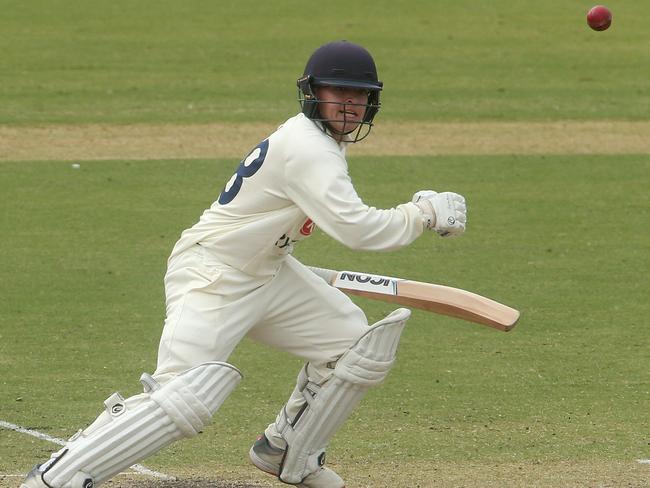 Tom Jackson batting for Geelong.