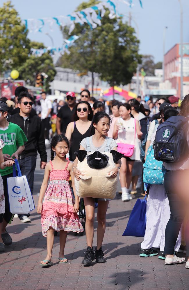 Crowd enjoying the day at the Moon Festival in 2017. Picture: Carmela Roche.