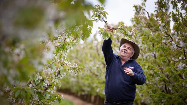 Guy Gaeta, orchardist near Orange NSW. Picture: Graham Schumann