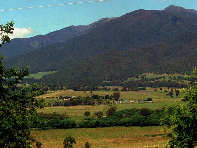 Put your walking shoes on and hike Mt. Bogong.