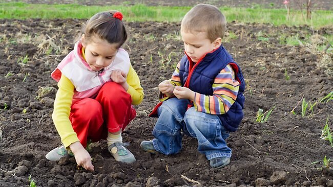 Get active: Build your own worm farm | The Courier Mail