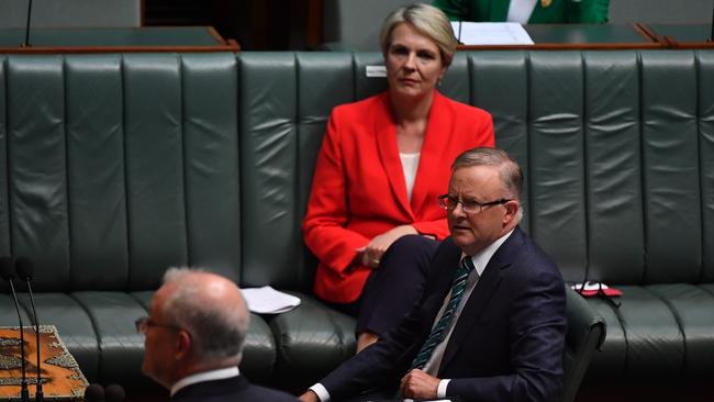 Leader of the Opposition Anthony Albanese during Question Time on Wednesday. Picture: Sam Mooy/Getty Images