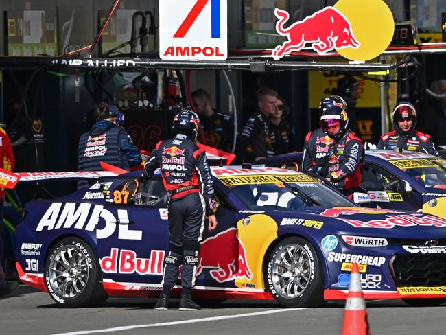 TAUPO, NEW ZEALAND - APRIL 21: Will Brown driver of the #87 Red Bull Racing Chevrolet Camaro ZL1 in the pits before the ITM Taupo Super400, part of the 2024 Supercars Championship Series at Hidden Valley Raceway, on April 21, 2024 in Taupo, New Zealand. (Photo by Kerry Marshall/Getty Images)