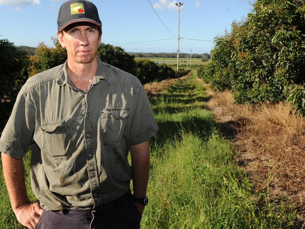 Bundaberg orchardist Craig Van Rooyen is one of the largest horticulturalists in the Bundaberg region. Photo: Mike Knott/NewsMail