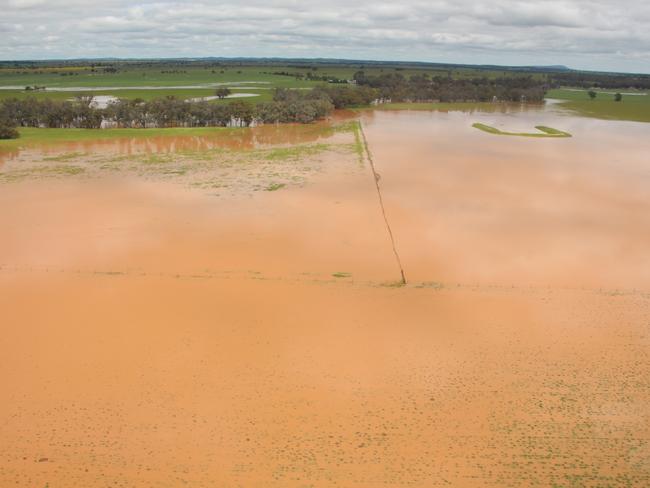 Humbug Creek just upstream of Ungarie. Picture: Glen Neyland/Bland Shire Council