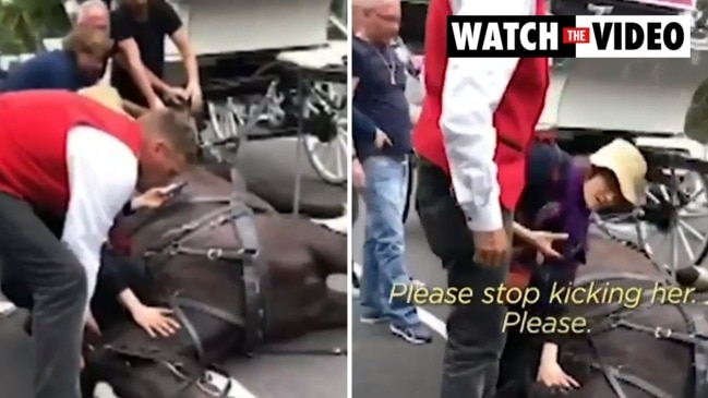 Melbourne carriage driver filmed kicking horse (7 News)