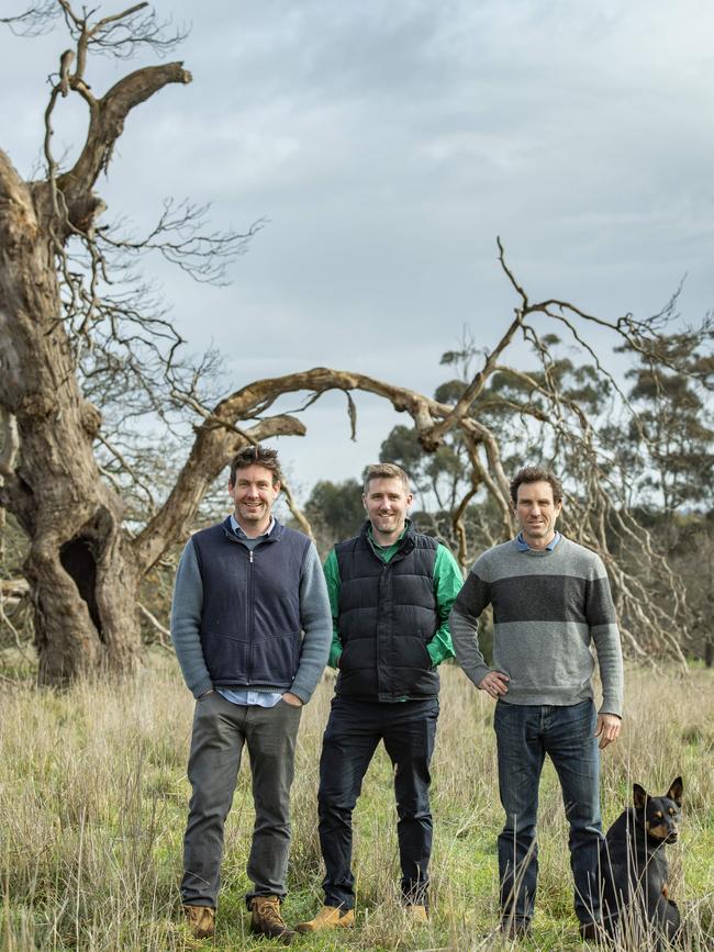 L-R: Tom Dennis, Jason Arnall and Alastair Dennis with Shamba the kelpie. Picture: Zoe Phillips