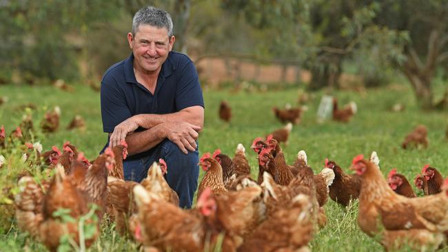 John Rohde on his Tarlee free range egg farm. Picture: Tom Huntley