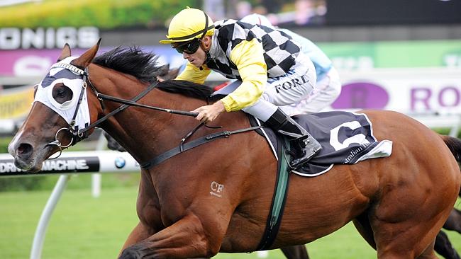 Last-start Randwick winner Lilliburlero again looms as a top prospect. Picture: Simon Bul