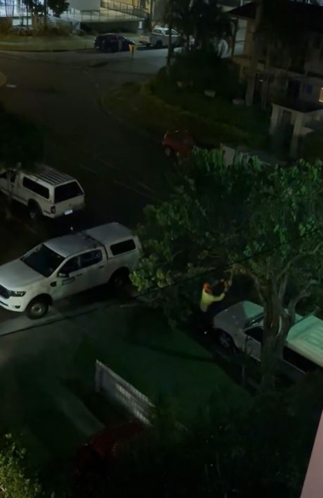 A council worker cutting down a tree late at night in a Biggera Waters street. Picture: Supplied