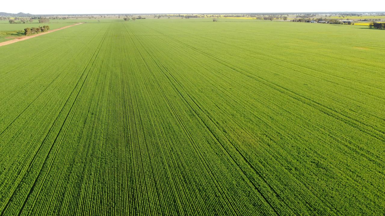 $45 million-plus price tag for major NSW cropping farms