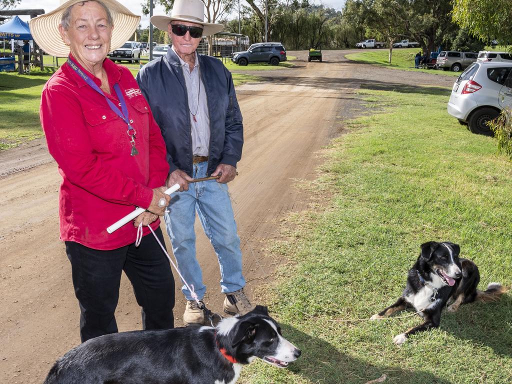 Denise Hawe and John Crombie about to take part in the 3 sheep trial at the Toowoomba Royal Show. Saturday, March 26, 2022. Picture: Nev Madsen.