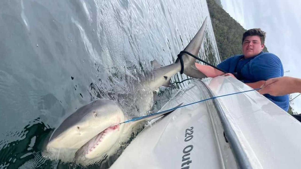 Teenager Addison Hodge hooked the 2.8-metre bull shark on the weekend. Picture: Mosman Collective