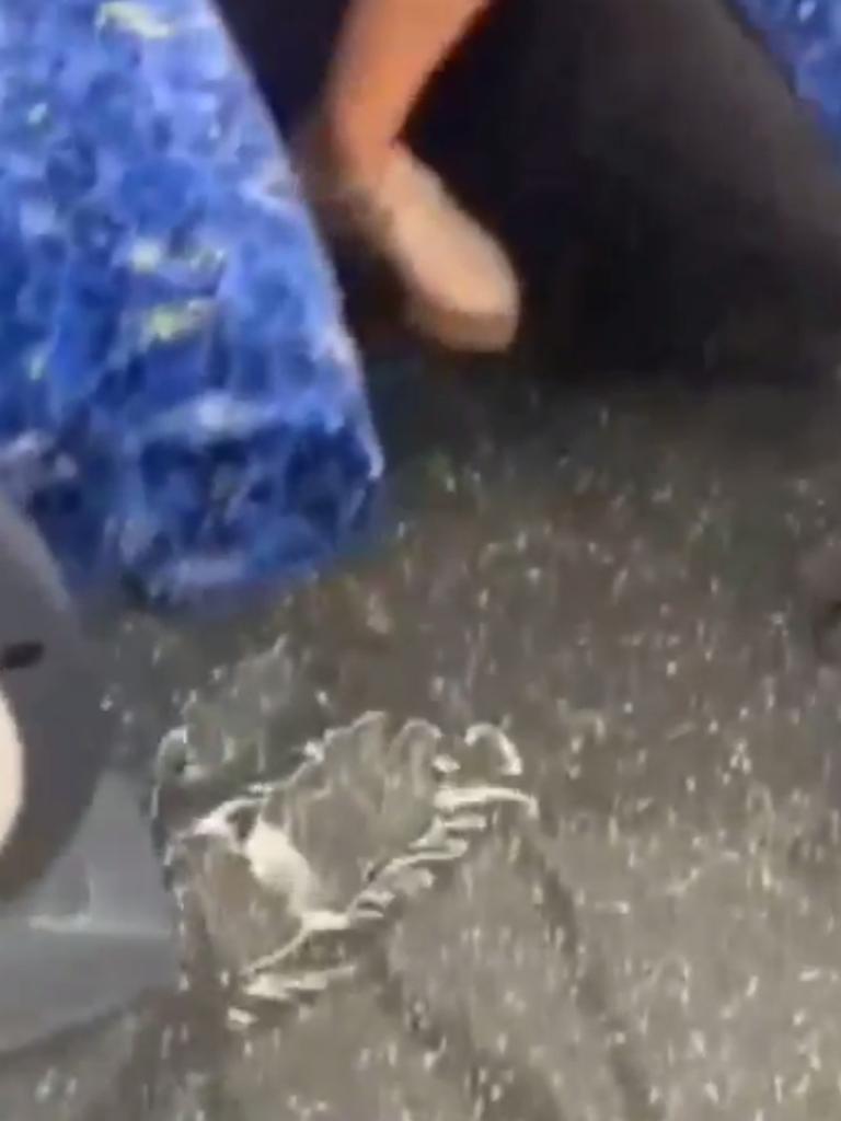 Footage appears to show woman ‘urinating on Sydney train’ | The Courier ...