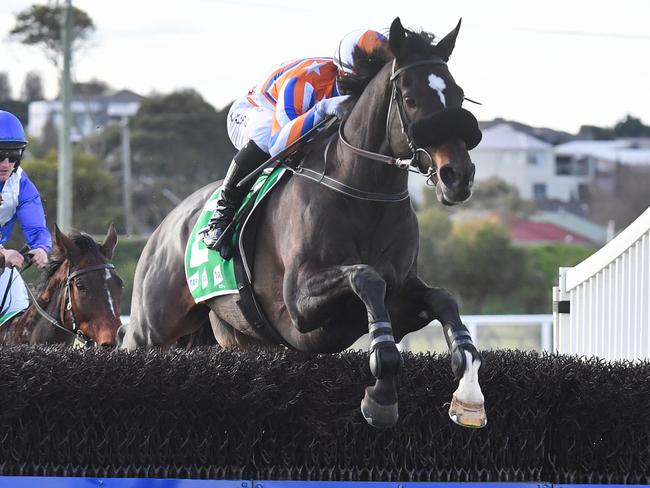 Leaderboard (USA) ridden by Aaron Kuru jumps a steeple on the way to winning the Michelin Service Centre Warrnambool BM120 Steeplechase at Warrnambool Racecourse on June 23, 2024 in Warrnambool, Australia. (Photo by Pat Scala/Racing Photos via Getty Images)