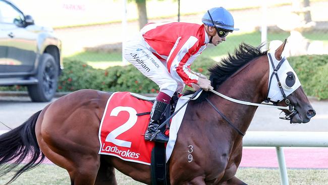 Grand Impact will contest the Takeover Target Stakes at Newcastle. Picture: George Sal / Racing Photos