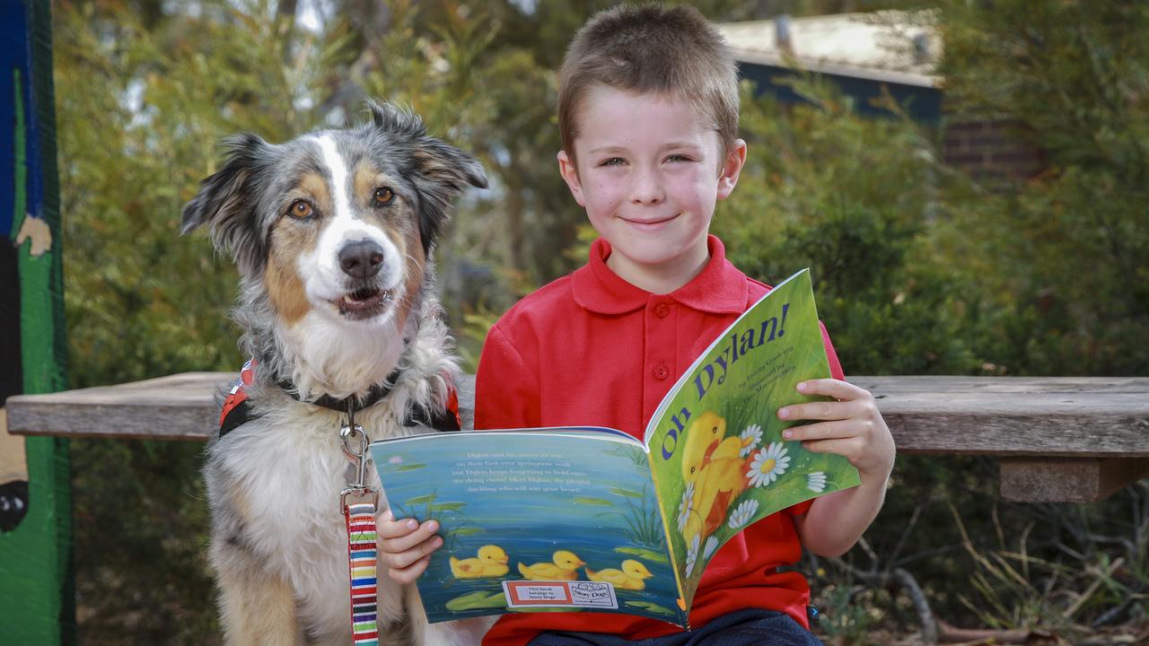 Story Dogs program: Mt Martha Primary School’s new approach to literacy ...