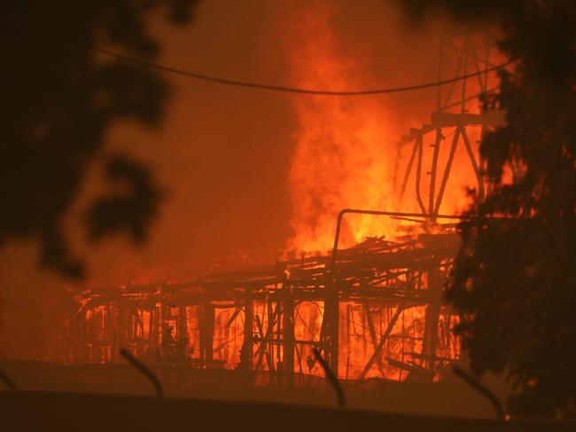 More than 4.2 million hectares have been burnt in NSW. Picture: Rohan Kelly