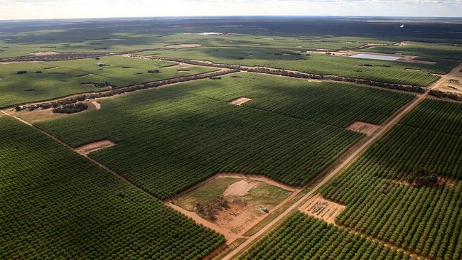 Lose-lose: Irrigation communities face being drained of another 650GL of water in the wake of a 2024 reconciliation. Picture Yuri Kouzmin