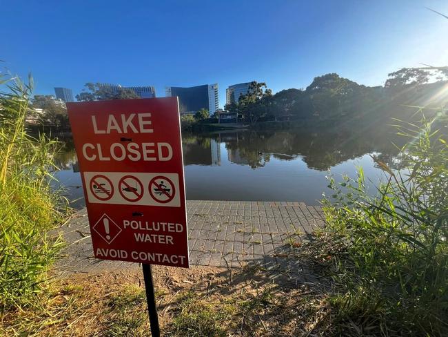 A popular river in Adelaide’s CBD has been closed off after high levels of E.coli were discovered in the water. picture : Facebook