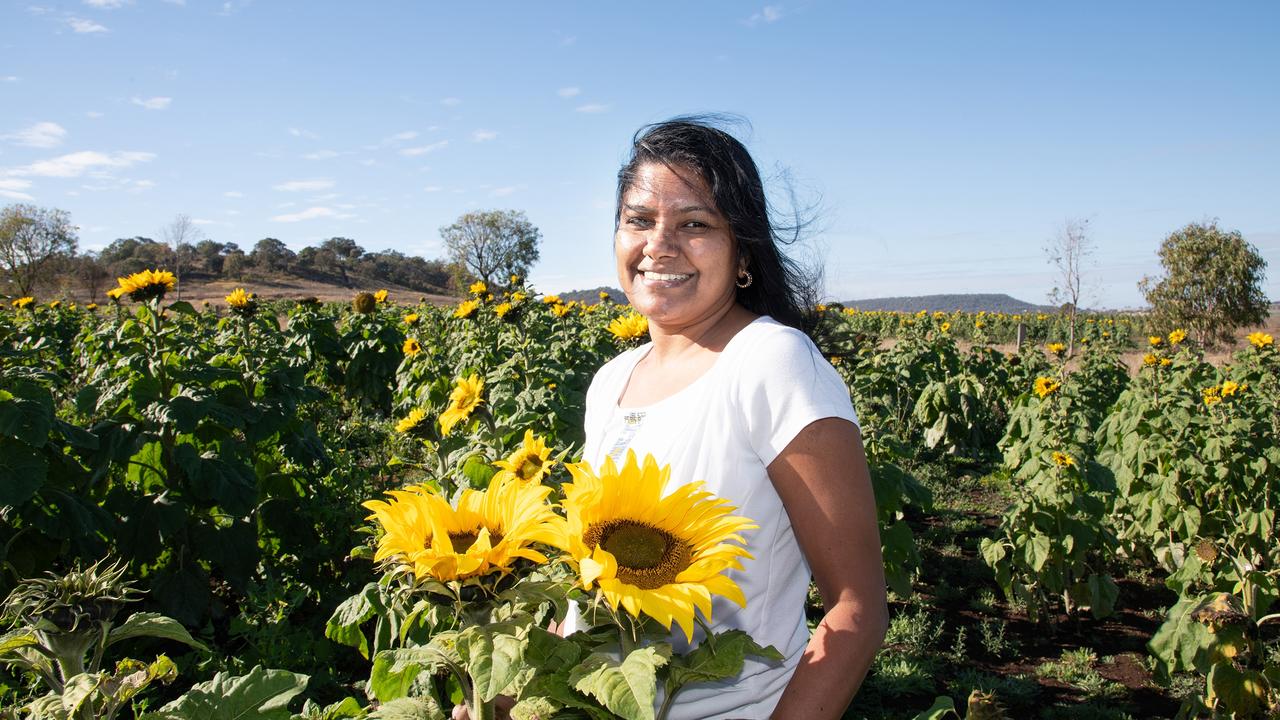 Kavita enjoying the fields of sunflowers.Open day at Warraba Sunflowers, Cambooya. Saturday June 29th, 2024