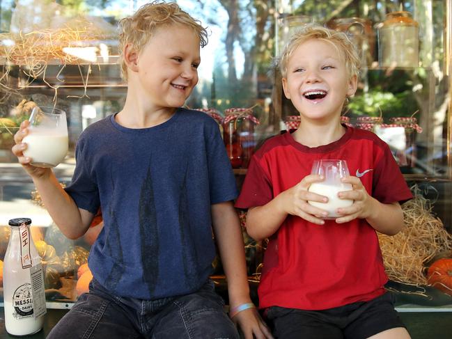 Stanton and Blinky Koludrovic drinking milk produced by the Gelato Messina ice cream company. Picture: Tim Hunter.