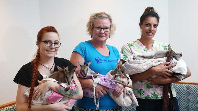 Wallaby mercy flight