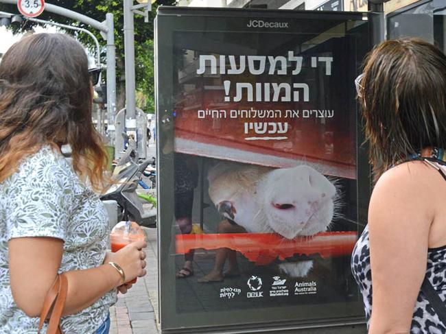 (September 2016) Animals Australia campaign ad in Tel Aviv, Israel. Source: Supplied